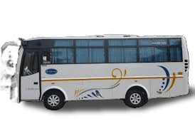 Medium Bus 