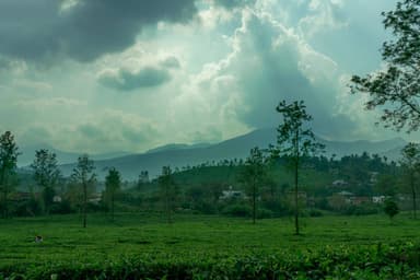 Wayanad