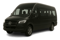 Tempo Travellers